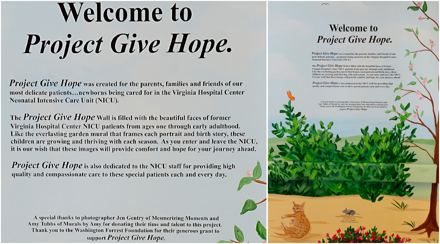 Welcome to Project Give Hope